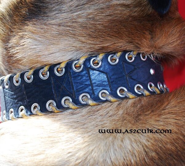 Collier chien + Anti puces Ref ACA027