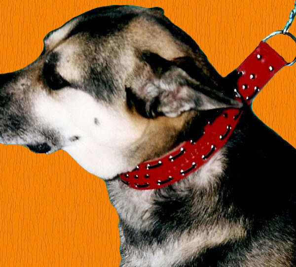 Collier étrangleur Ref ACA006