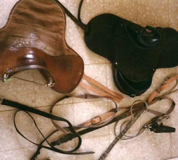 Sellerie cheval Ref ACA050